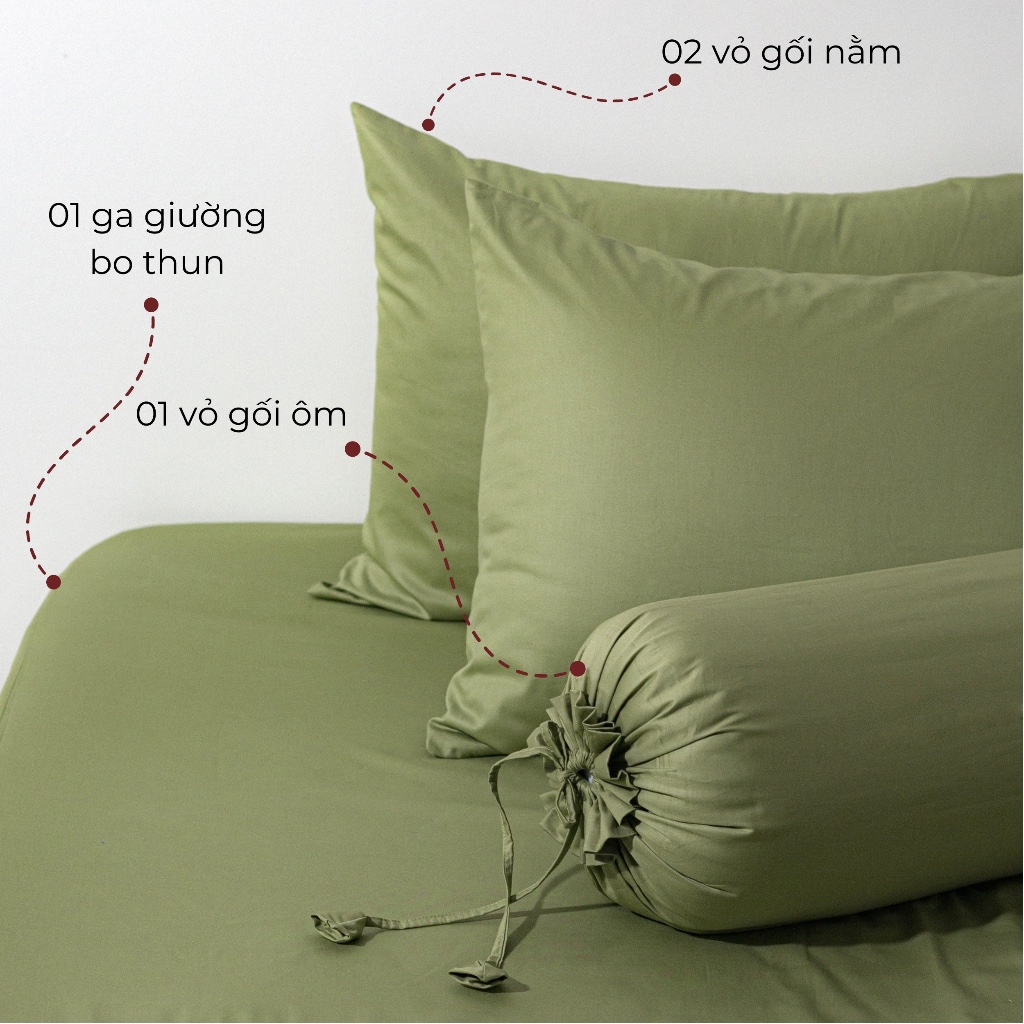 [Pastel] Bộ Ga Gối Cotton 100% Phong Cách Nhẹ Nhàng