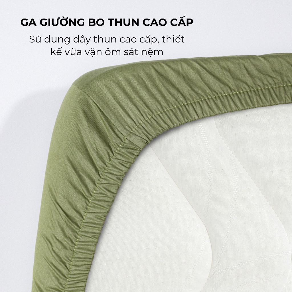 [Pastel] Bộ Ga Gối Cotton 100% Phong Cách Nhẹ Nhàng