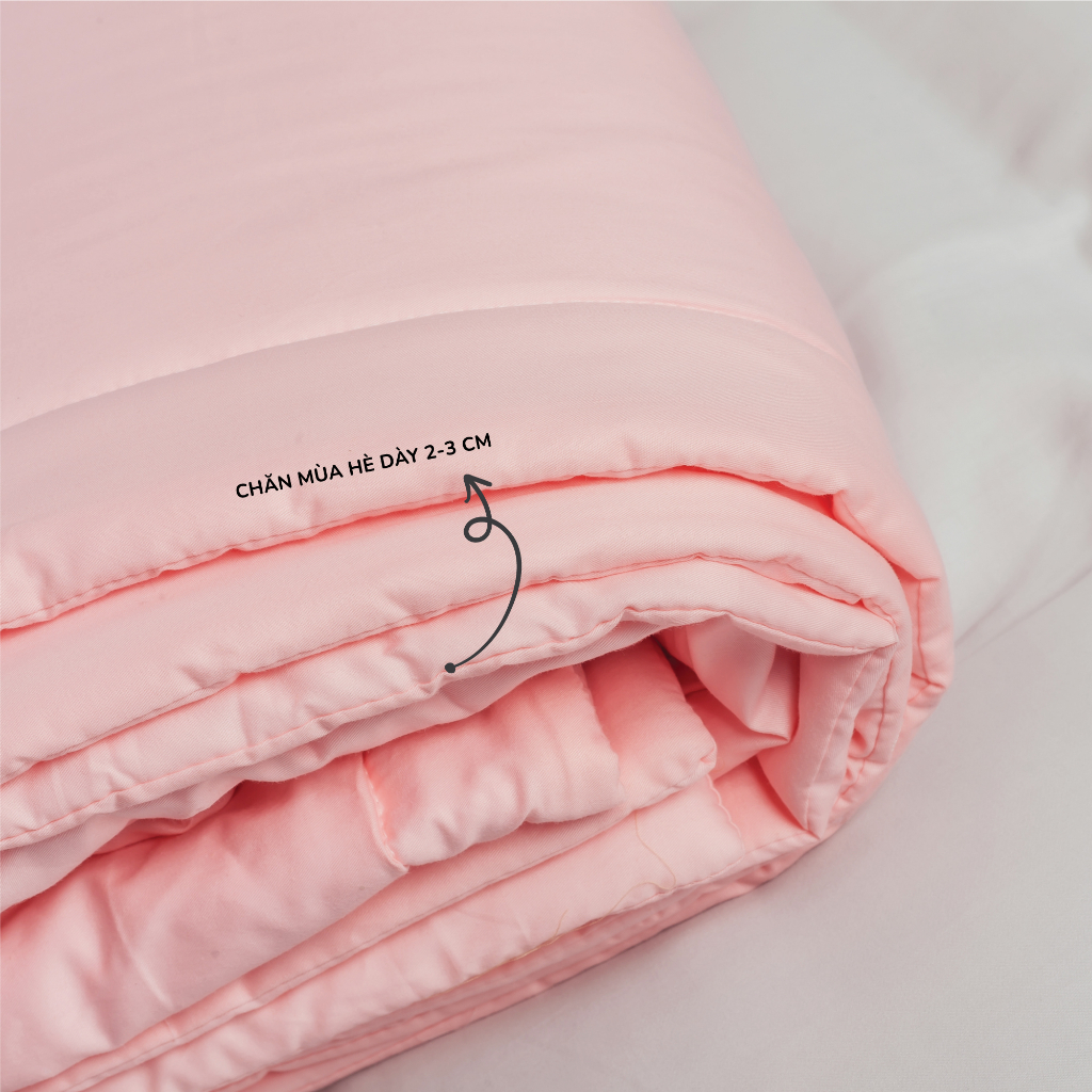 [Pastel] Chăn Cotton 100% Phong Cách Nhẹ Nhàng