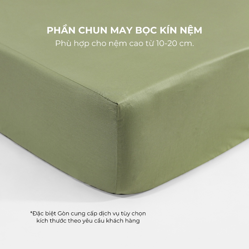 [Pastel] Bộ Ga Gối Cotton 100% Phong Cách Nhẹ Nhàng